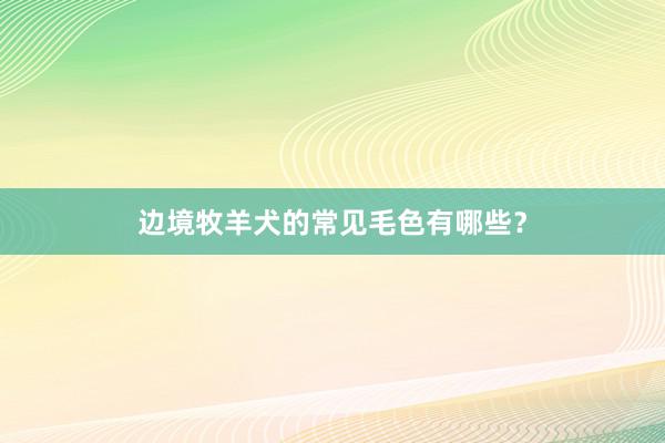 边境牧羊犬的常见毛色有哪些?