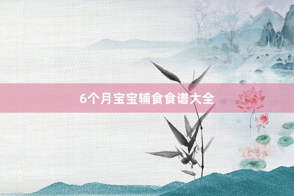 6个月宝宝辅食食谱大全