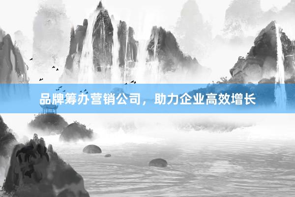 品牌筹办营销公司，助力企业高效增长